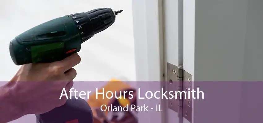 After Hours Locksmith Orland Park - IL