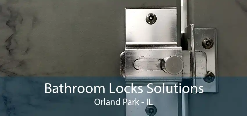 Bathroom Locks Solutions Orland Park - IL