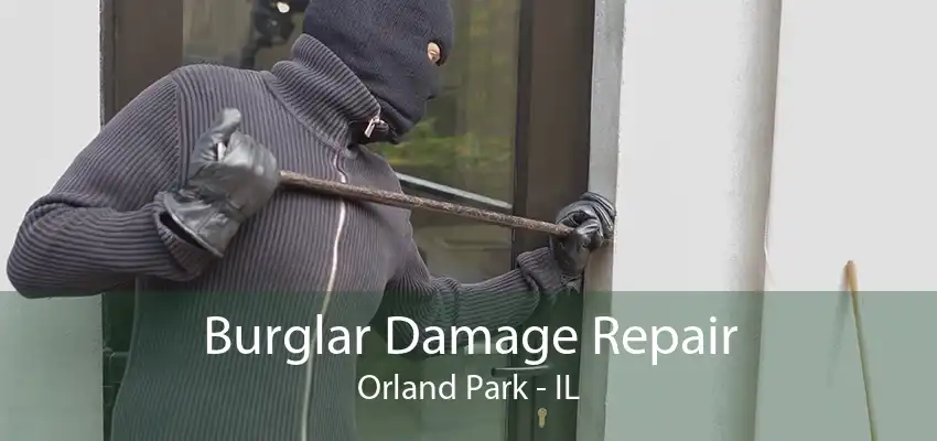 Burglar Damage Repair Orland Park - IL