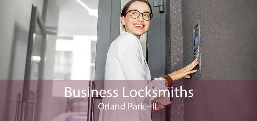 Business Locksmiths Orland Park - IL