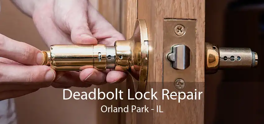 Deadbolt Lock Repair Orland Park - IL