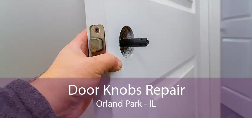 Door Knobs Repair Orland Park - IL