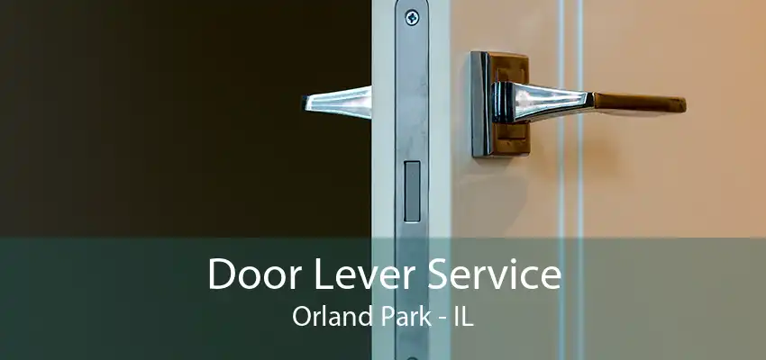 Door Lever Service Orland Park - IL