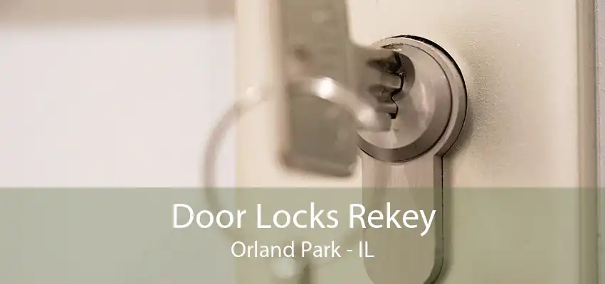 Door Locks Rekey Orland Park - IL