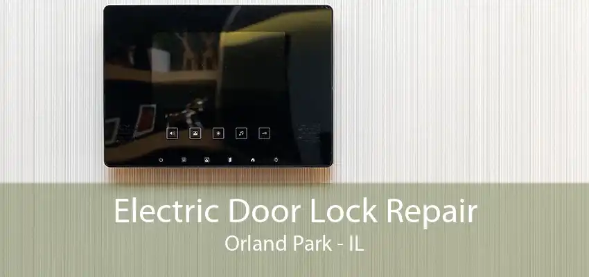 Electric Door Lock Repair Orland Park - IL