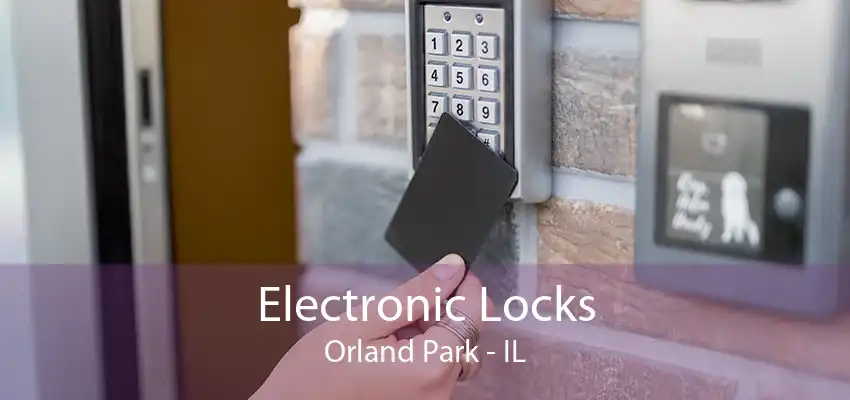 Electronic Locks Orland Park - IL