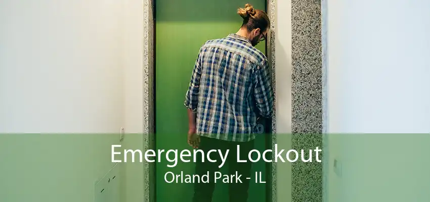 Emergency Lockout Orland Park - IL