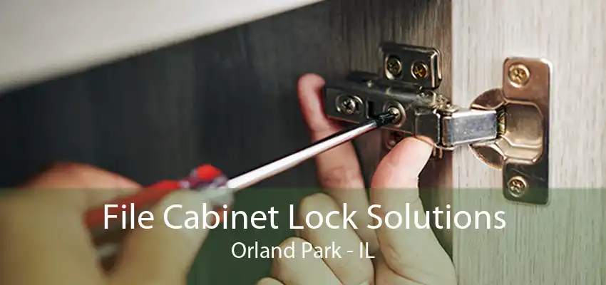 File Cabinet Lock Solutions Orland Park - IL