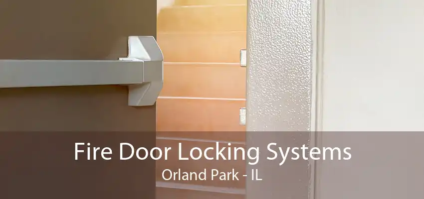 Fire Door Locking Systems Orland Park - IL