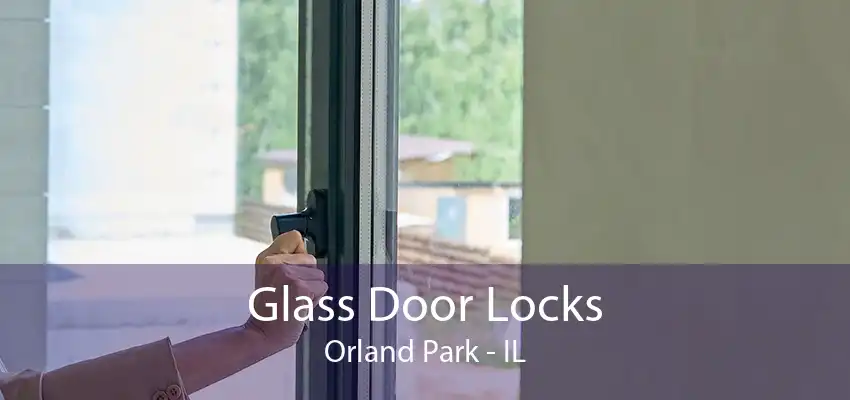 Glass Door Locks Orland Park - IL