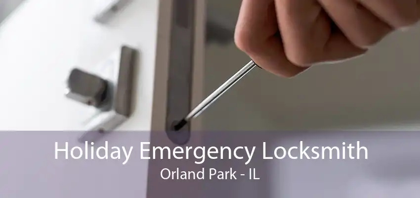 Holiday Emergency Locksmith Orland Park - IL