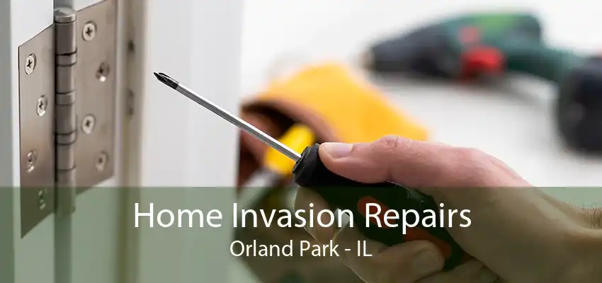 Home Invasion Repairs Orland Park - IL