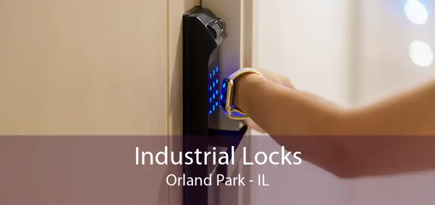 Industrial Locks Orland Park - IL