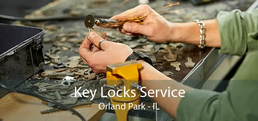 Key Locks Service Orland Park - IL