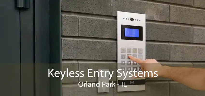 Keyless Entry Systems Orland Park - IL