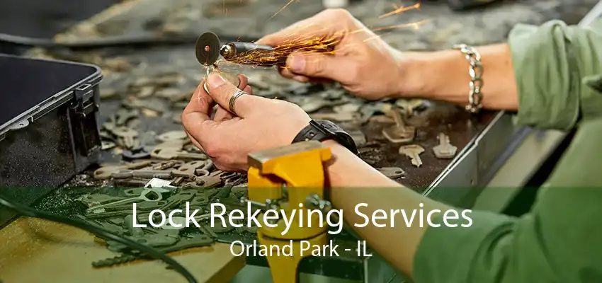 Lock Rekeying Services Orland Park - IL