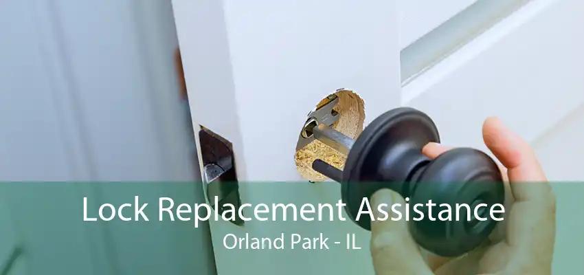 Lock Replacement Assistance Orland Park - IL