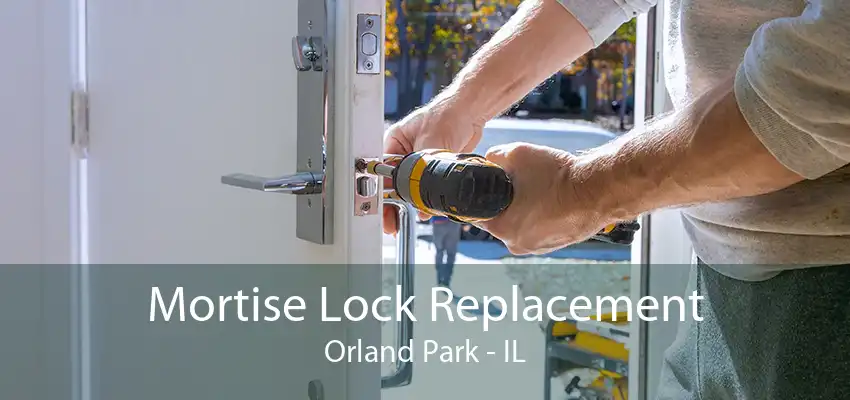 Mortise Lock Replacement Orland Park - IL