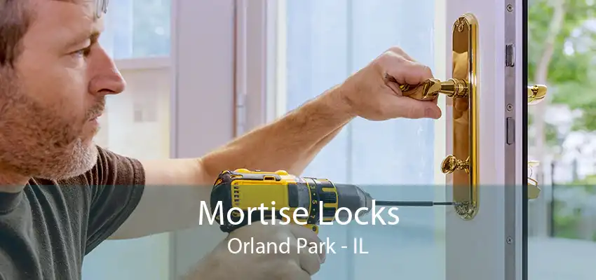 Mortise Locks Orland Park - IL