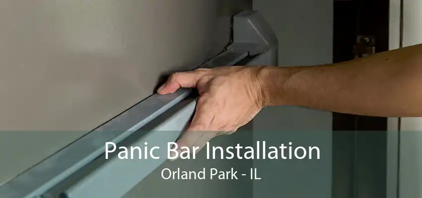 Panic Bar Installation Orland Park - IL