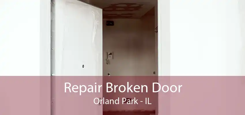 Repair Broken Door Orland Park - IL