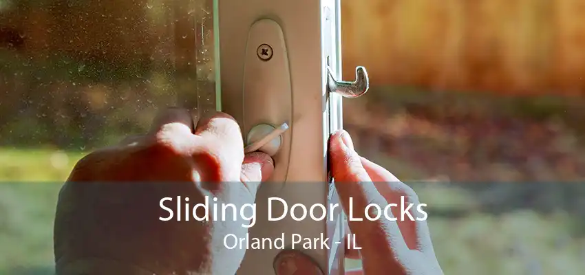 Sliding Door Locks Orland Park - IL