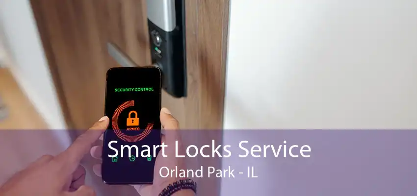 Smart Locks Service Orland Park - IL