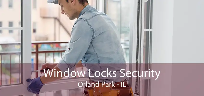 Window Locks Security Orland Park - IL